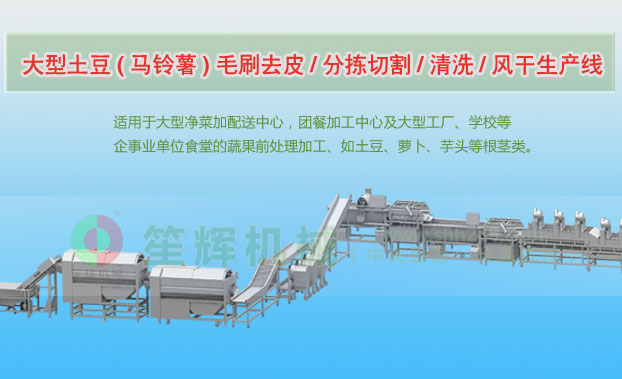 长兴连续式土豆去皮清洗切割风干生产线